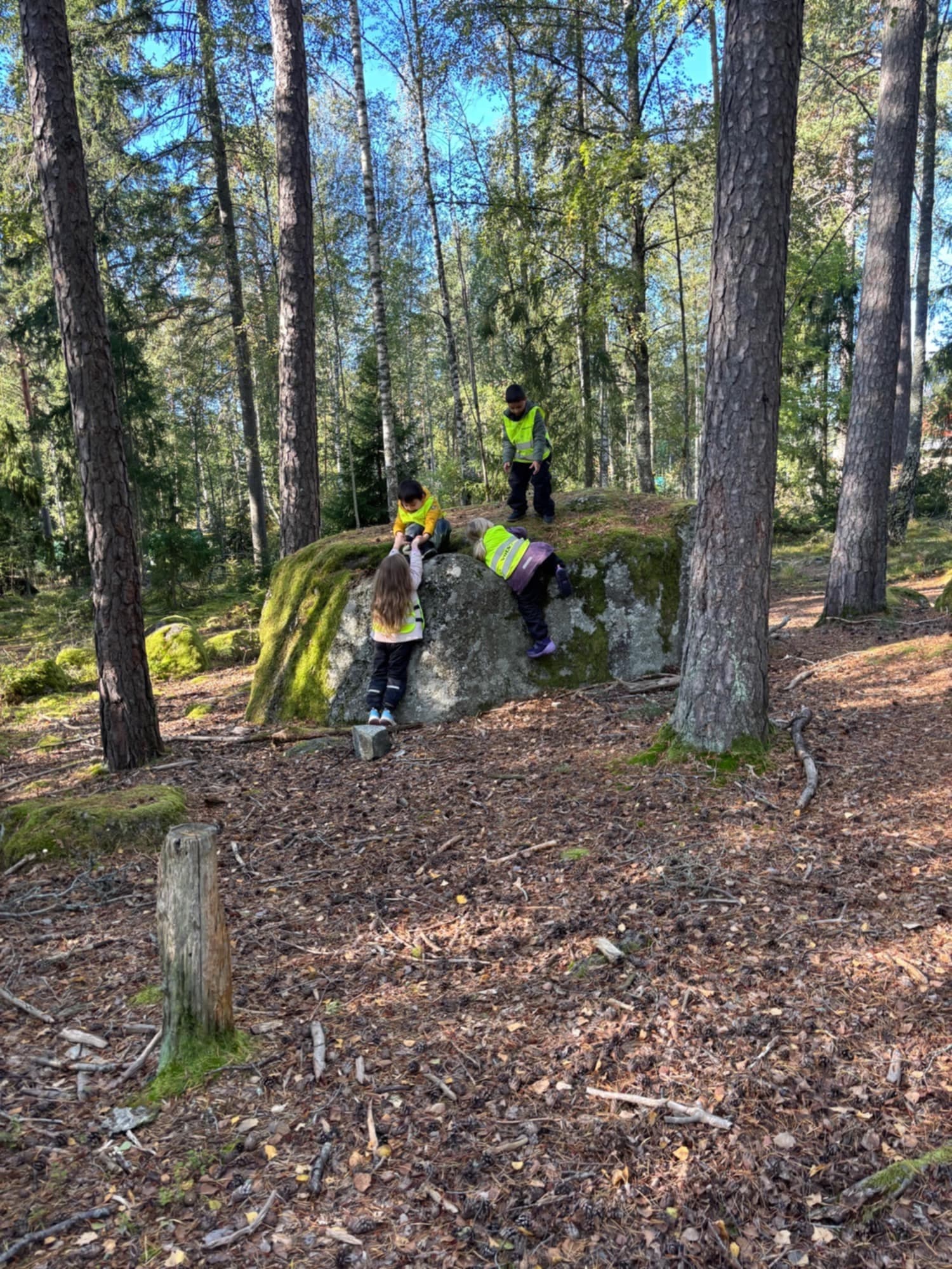 Barn som klättrar och rör sig lekfullt