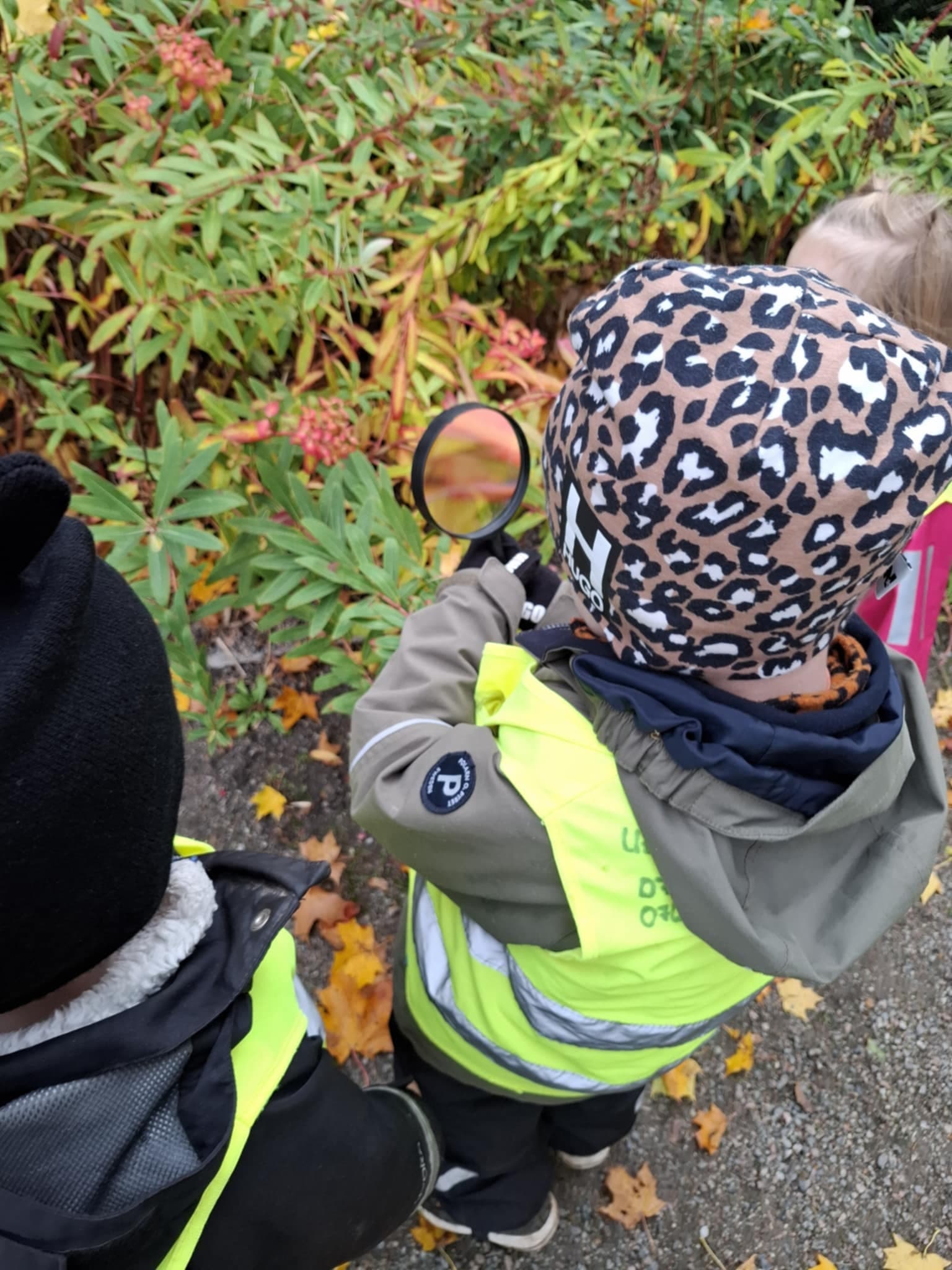 Barn som utforskar naturen i skogen