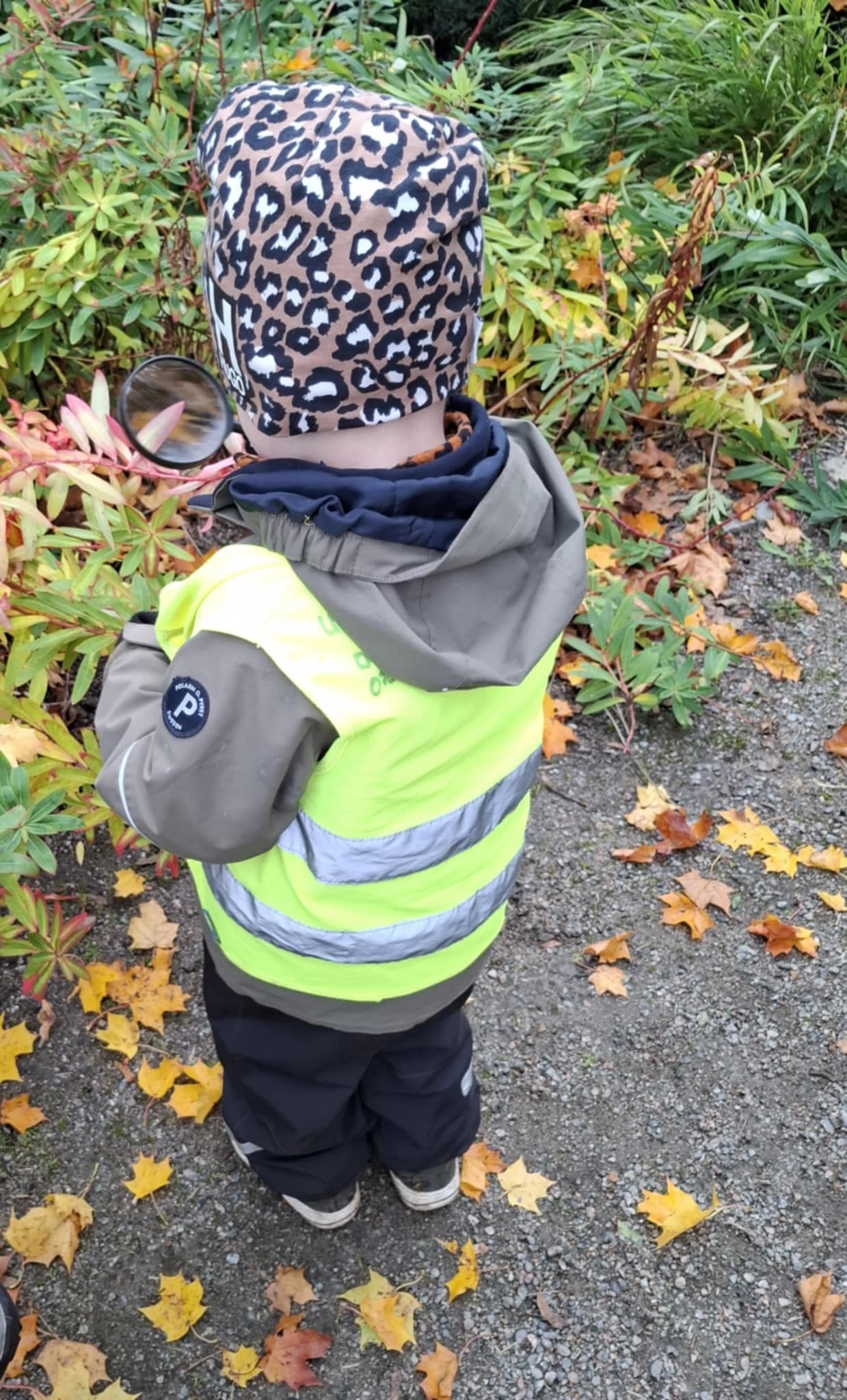 Barn som undersöker naturmaterial tillsammans