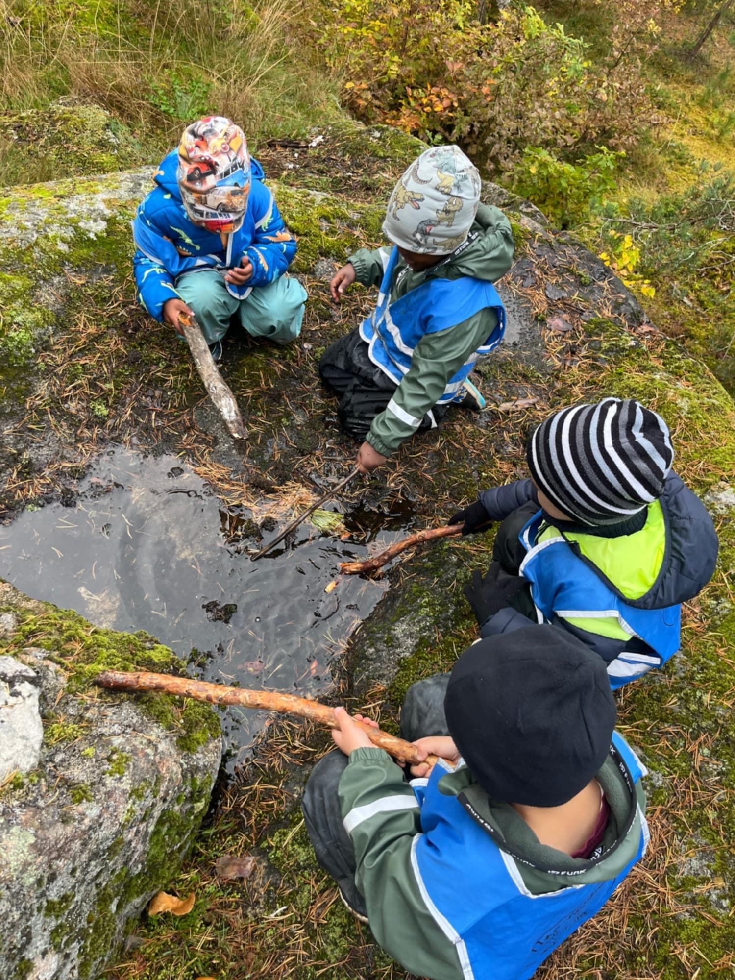 Barn som leker i grönskan utomhus