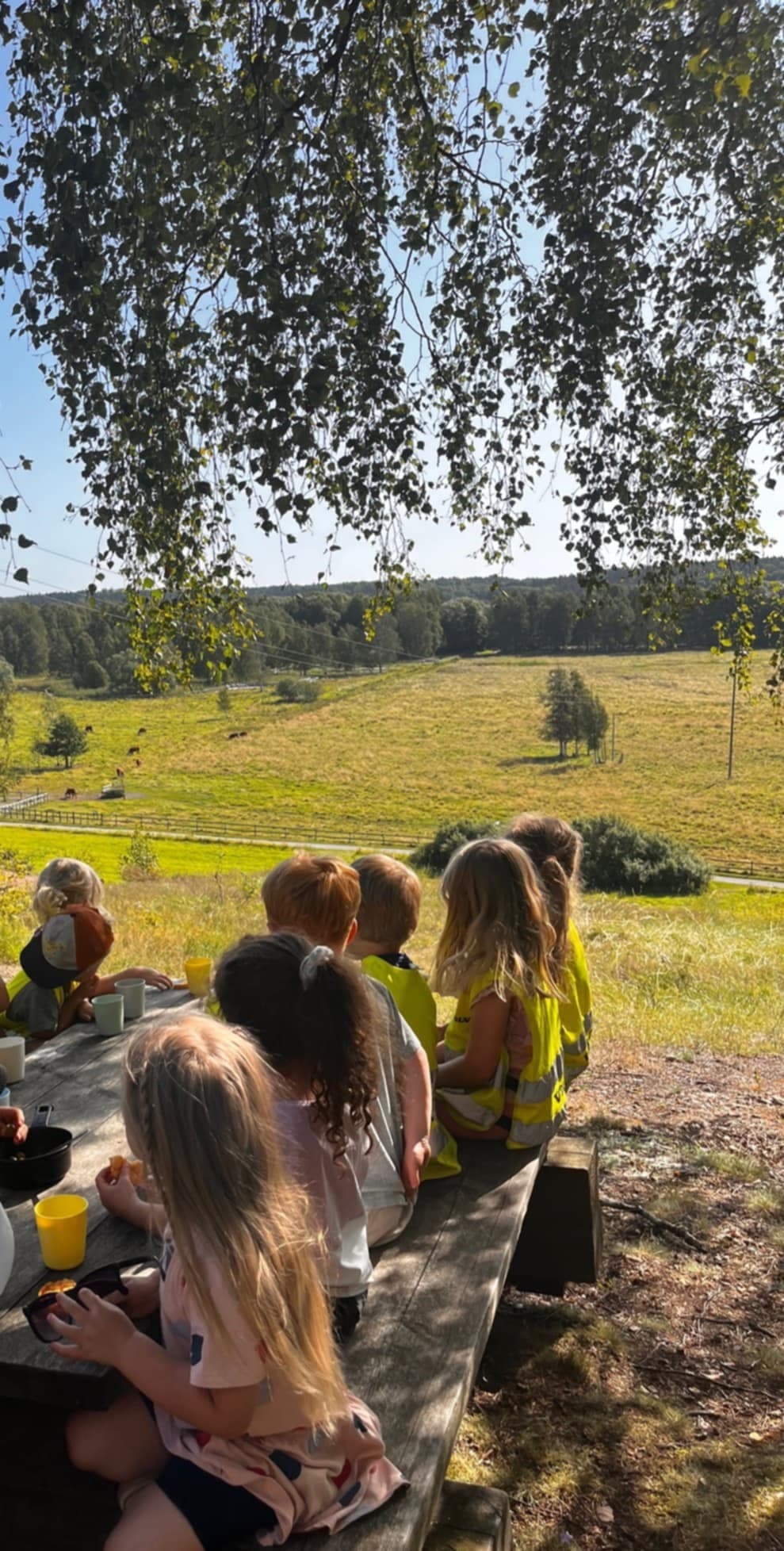 Barn som äter tillsammans ute i naturen