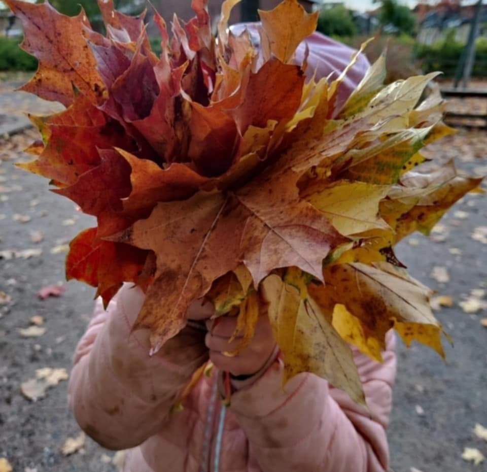 Barn som samlar höstlöv i naturen